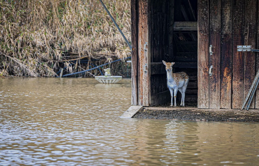 Grupo de voluntários lança plataforma TempestadeSOS para ajudar vítimas da depressão Kristin